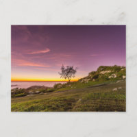 Sunrise On The Beach In Florianopolis