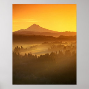 Sunrise orange colours the fog in the valley in poster