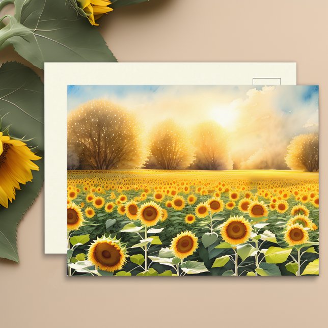 Sunrise Over a Field of Sunflowers Postcard (🌻 Artistry at Sunrise: Sunflowers Postcard! 🎨)