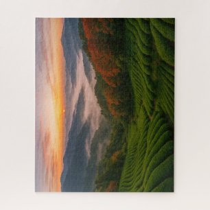 Sunrise over Mountain Tea Fields in Japan Jigsaw Puzzle