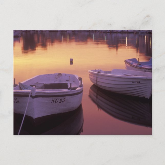 Sunrise over Stari Grad harbor with fishing Postcard (Front)