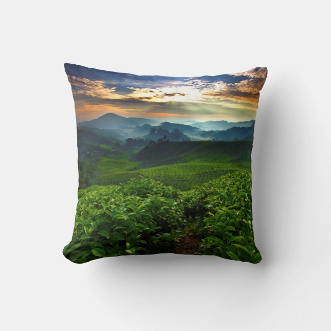 Sunrise over Tea Farm Cushion (Front)