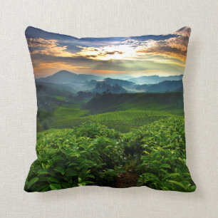 Sunrise over Tea Farm Cushion