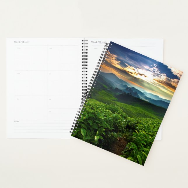 Sunrise over Tea Farm Planner (Display)