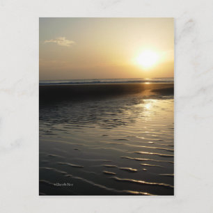 Sunrise Postcard
