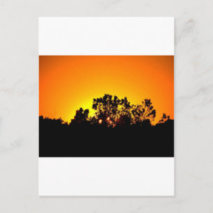 Sunrise Postcard