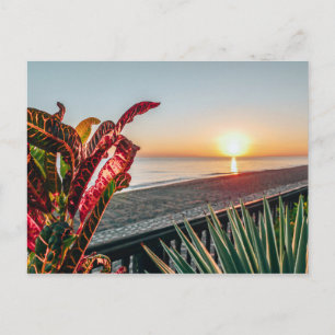 Sunrise Postcard