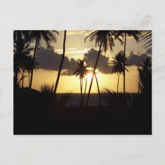 Sunrise Postcard