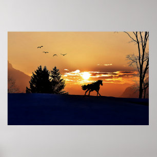 Sunrise Poster