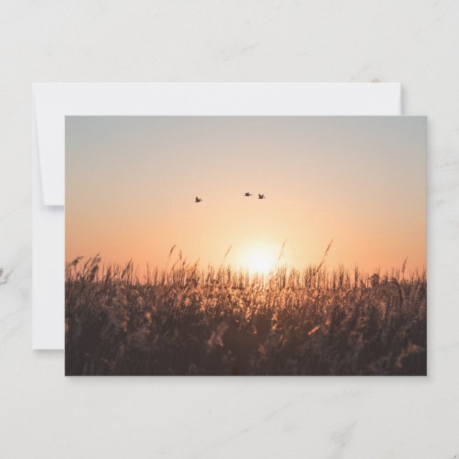 Sunrise Reed Nature Photo Card (Front)
