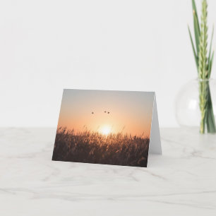 Sunrise Reed Nature Photo Card