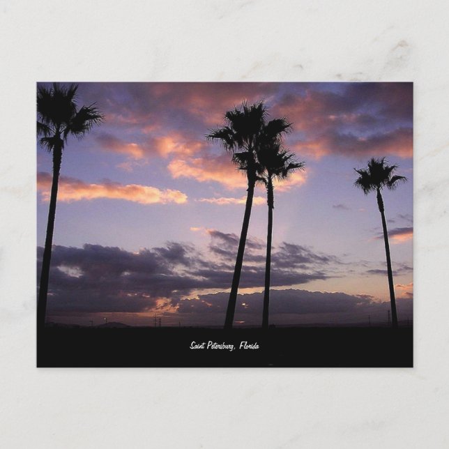 Sunrise, Saint Petersburg, Florida postcard (Front)