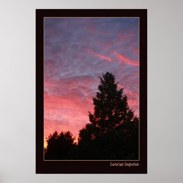 Sunrise Sequoia Poster (Front)