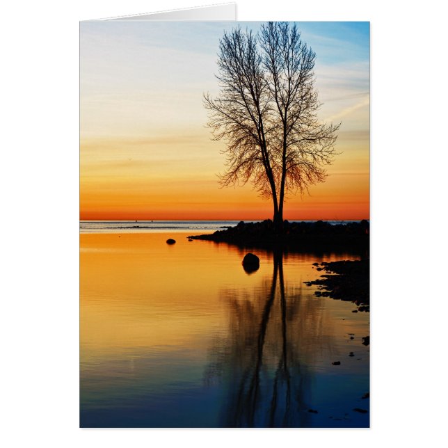 Sunrise Serenity (Front)