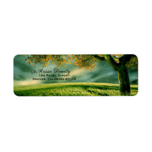 Sunrise Shadows From Golden Tree Return Address Label