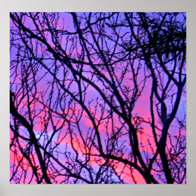 Sunrise Silohuette Poster (Front)