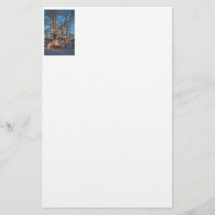Sunrise, Snow and Sycamore Stationery