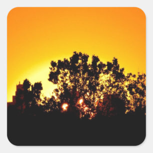Sunrise Square Sticker