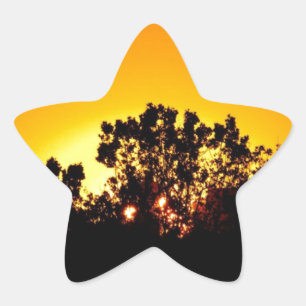 Sunrise Star Sticker