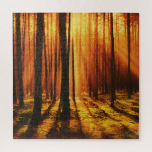 Sunrise Sunset in the Forest Jigsaw Puzzle