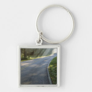 Sunrise through fog alongside Green River Key Ring