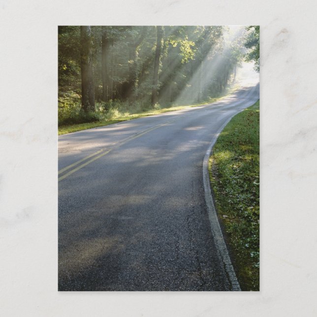 Sunrise through fog alongside Green River Postcard (Front)