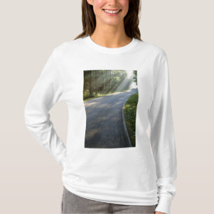 Sunrise through fog alongside Green River T-Shirt