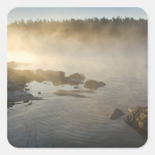 Sunrise through fog in Anderson Bay, Rainy Square Sticker