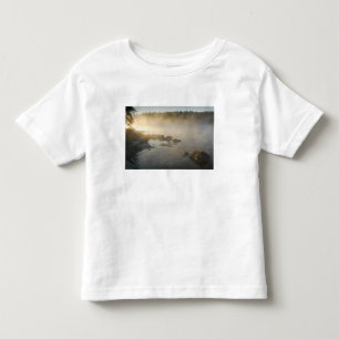 Sunrise through fog in Anderson Bay, Rainy Toddler T-Shirt