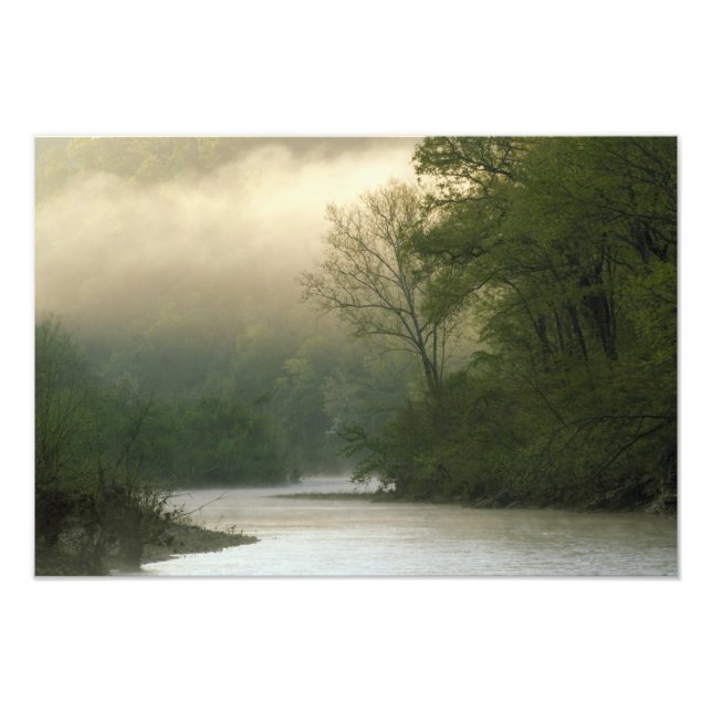 Sunrise through fog viewed from Red Bluff, Photo Print (Front)