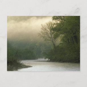 Sunrise through fog viewed from Red Bluff, Postcard