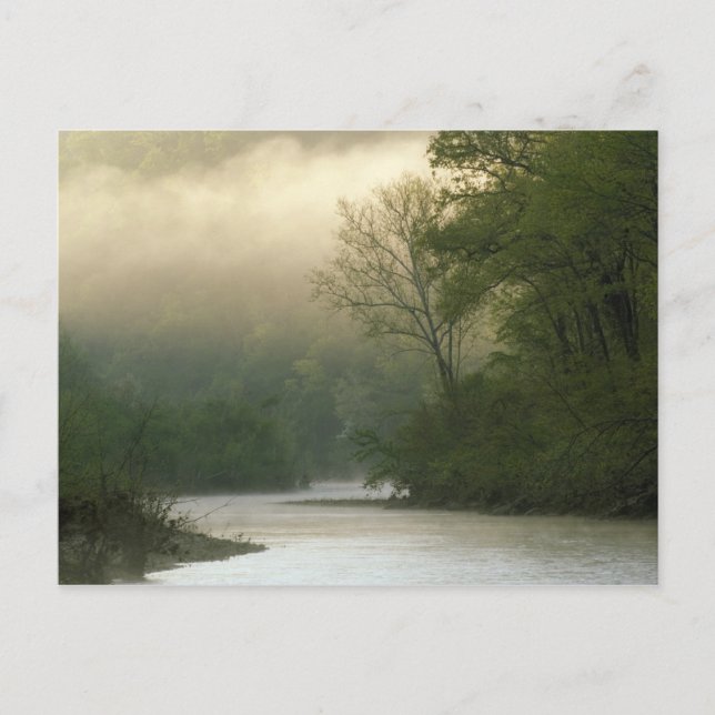Sunrise through fog viewed from Red Bluff, Postcard (Front)