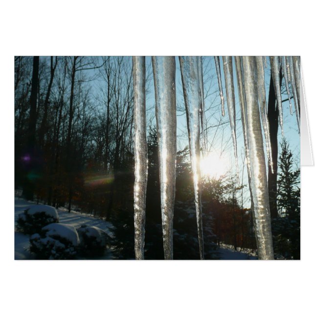 Sunrise Through Icicles Winter Nature Photography (Front Horizontal)