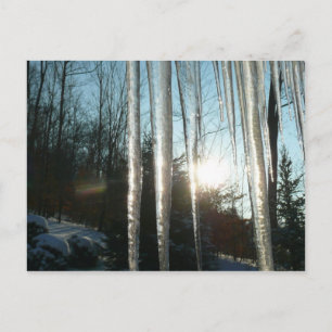 Sunrise Through Icicles Winter Nature Photography Postcard