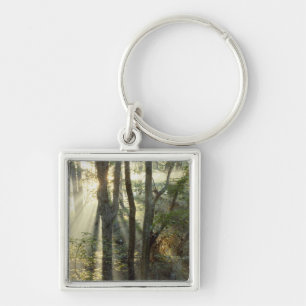 Sunrise through oak and hickory forest, key ring