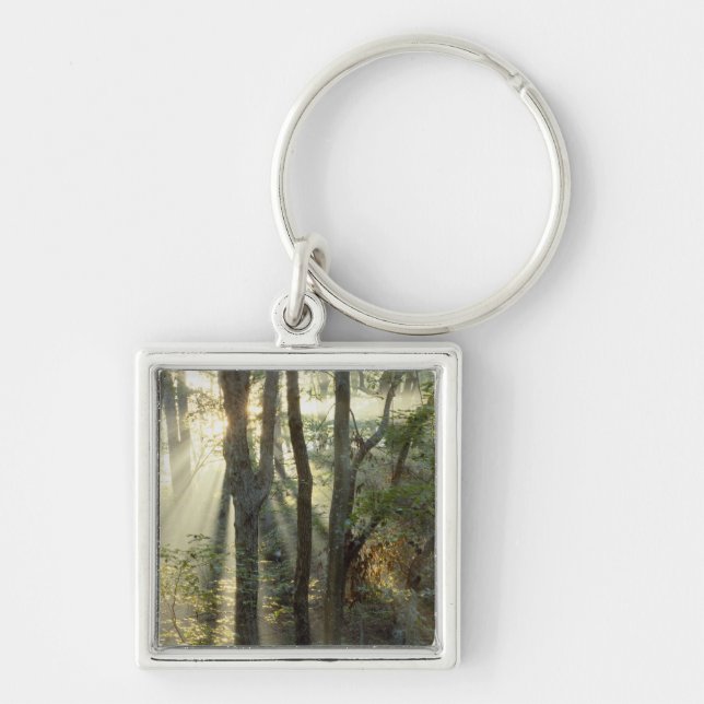 Sunrise through oak and hickory forest, key ring (Front)