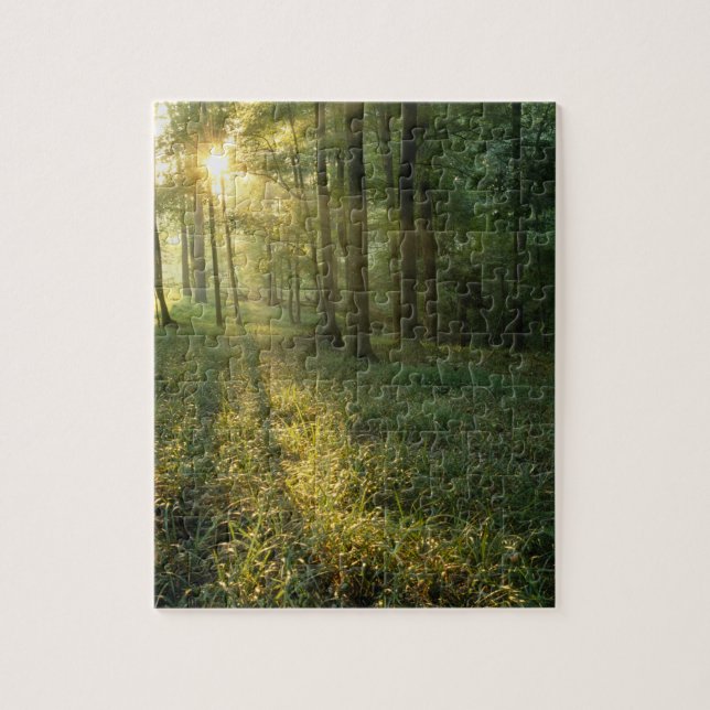 Sunrise through oak and hickory forest, Mammoth Jigsaw Puzzle (Vertical)