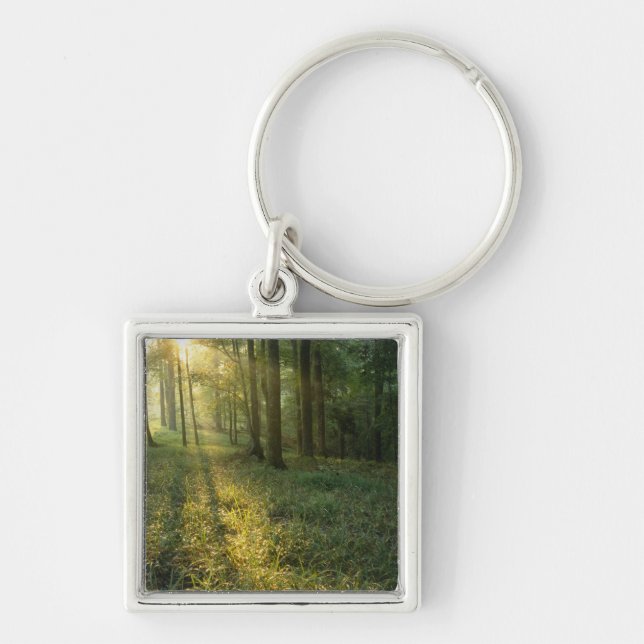 Sunrise through oak and hickory forest, Mammoth Key Ring (Front)