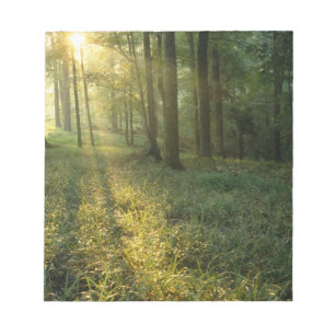 Sunrise through oak and hickory forest, Mammoth Notepad