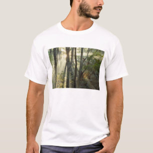 Sunrise through oak and hickory forest, T-Shirt