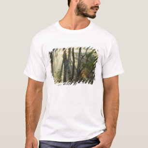 Sunrise through oak and hickory forest, T-Shirt