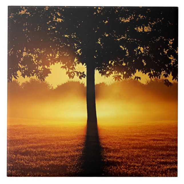 Sunrise, tree silhouette, ceramic tile (Front)