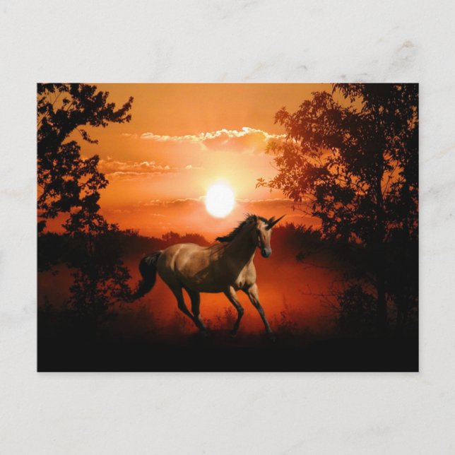 Sunrise Unicorn Postcard (Front)