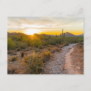 Sunrize Over Arizona Trail Postcard