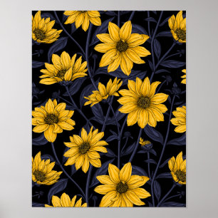 Sunroot, wild sunflower in yellow and blue poster