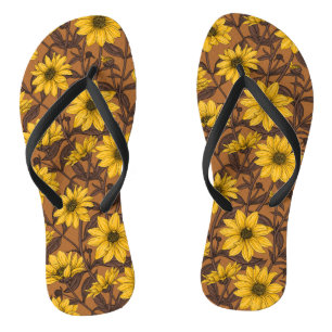 Sunroot, wild sunflower in yellow and  brown thongs