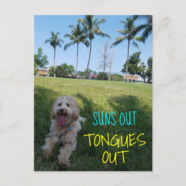 SUNS OUT TONGUES OUT2 ANNOUNCEMENT POSTCARD (Front)