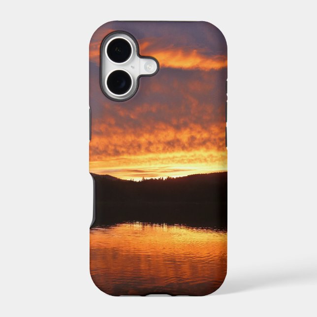 Sunset (Back)