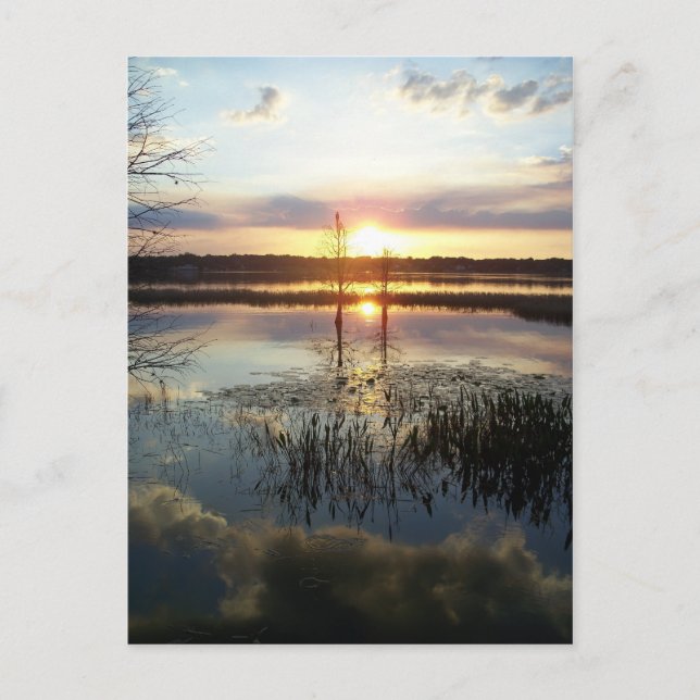 Sunset 172 Florida Post Card (Front)