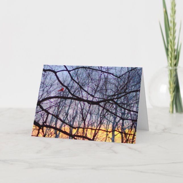 Sunset & A Red Cardinal Blank Greeting Card (Front)